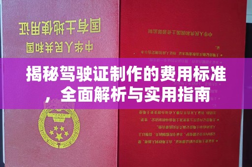 温州揭秘驾驶证制作的费用标准，全面解析与实用指南